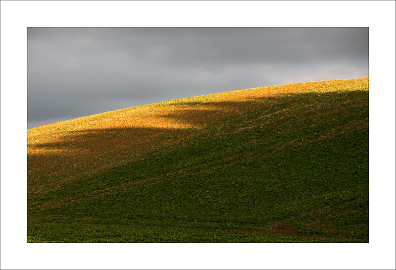  - Robin Hood Hill