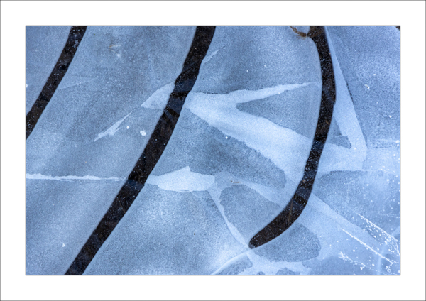  - Photography Review 2025