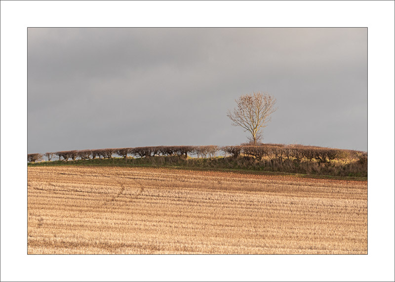  - Southwell Trail in Winter