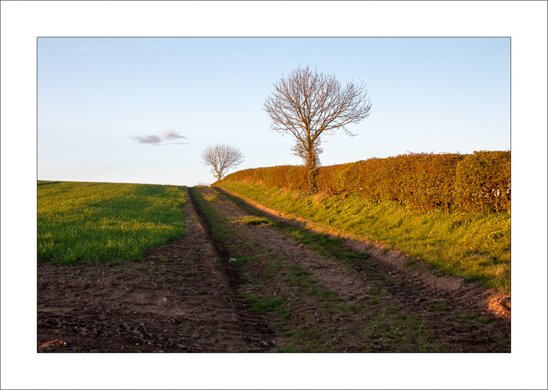  - Southwell Trail in Winter