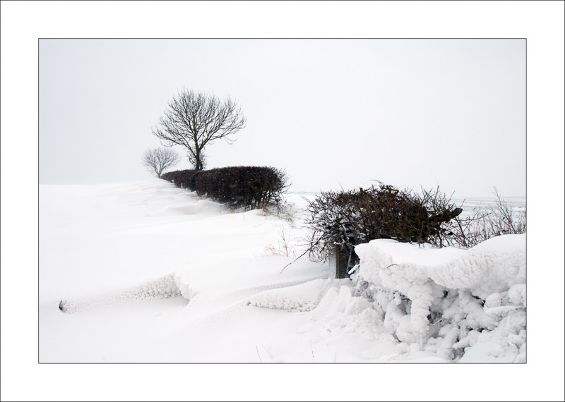  - Southwell Trail in Winter