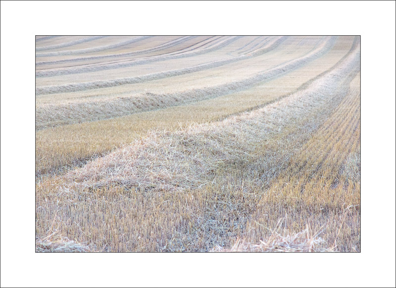  - Land and Sky
