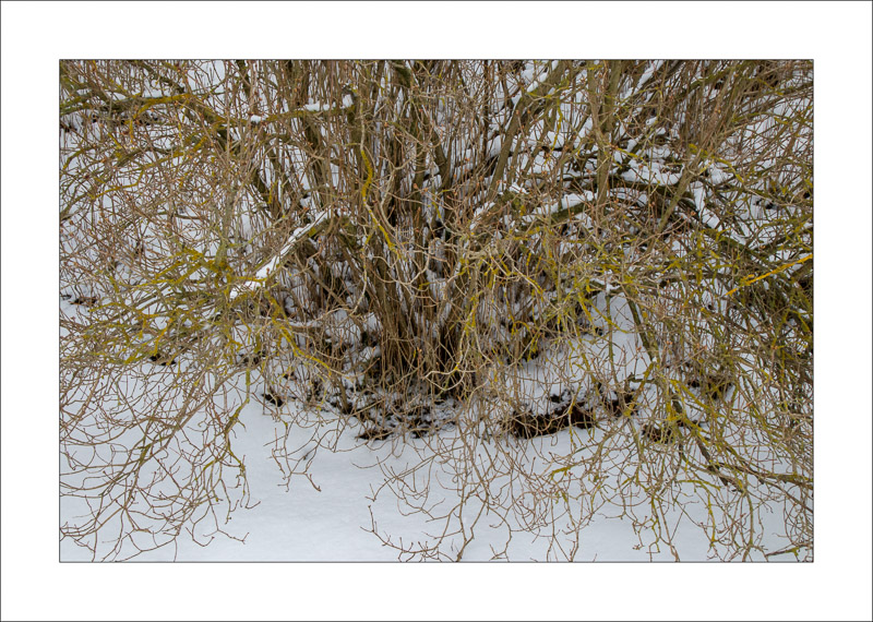  - Southwell Trail in Winter