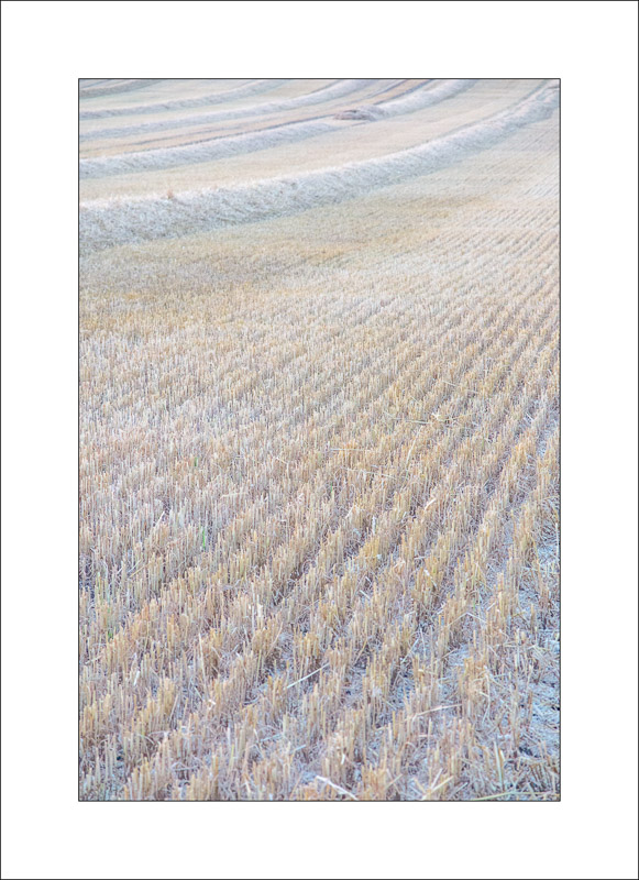  - Land and Sky