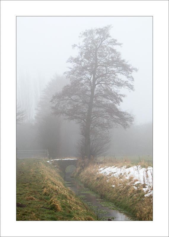  - Southwell Trail in Winter