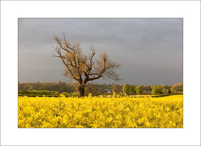 - Southwell Trail in Spring and Summer