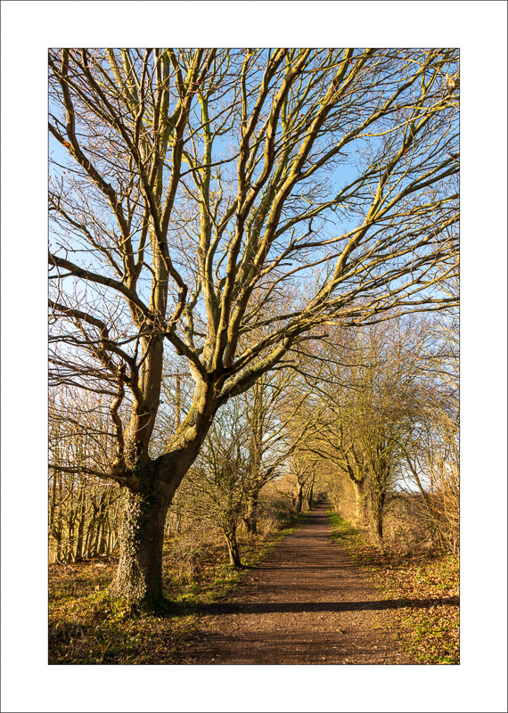  - Southwell Trail in Winter