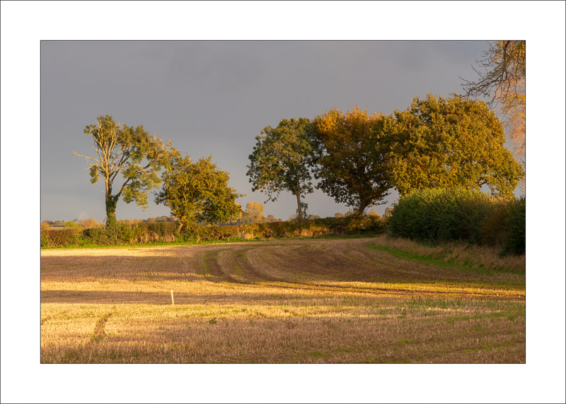  - Farnsfield