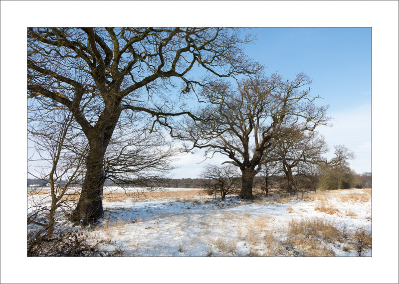  - Southwell Trail in Winter