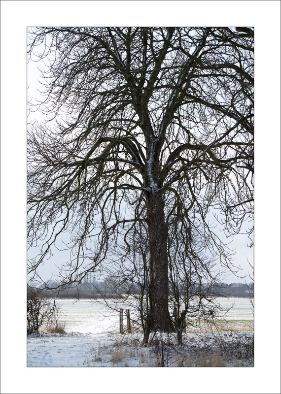  - Southwell Trail in Winter