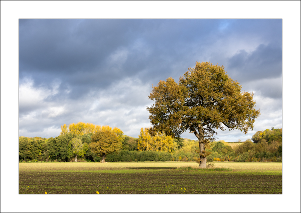  - Photography Review 2025