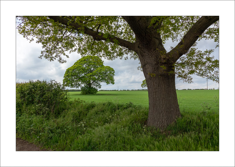  - Farnsfield