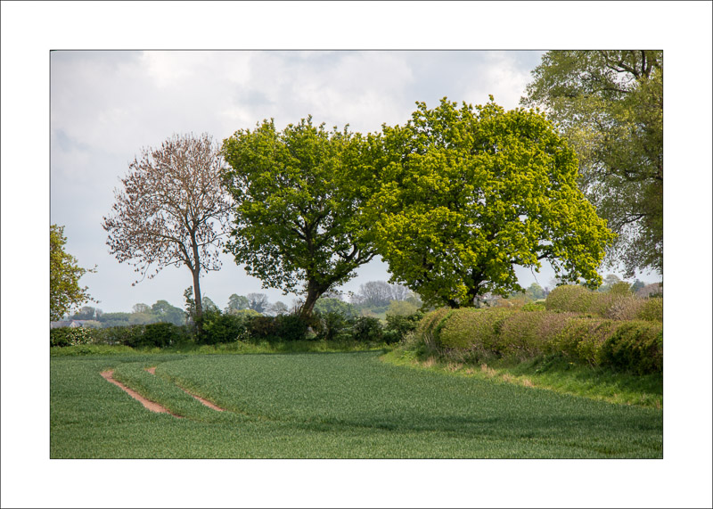  - Farnsfield