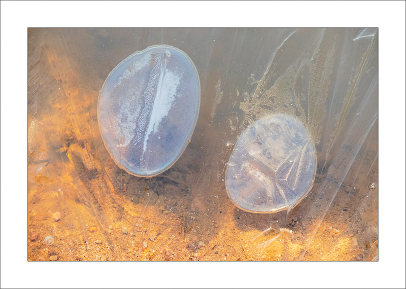  - Ice Abstracts