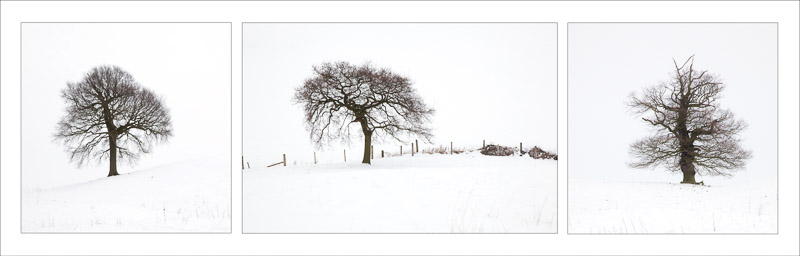  - Robin Hood Hill