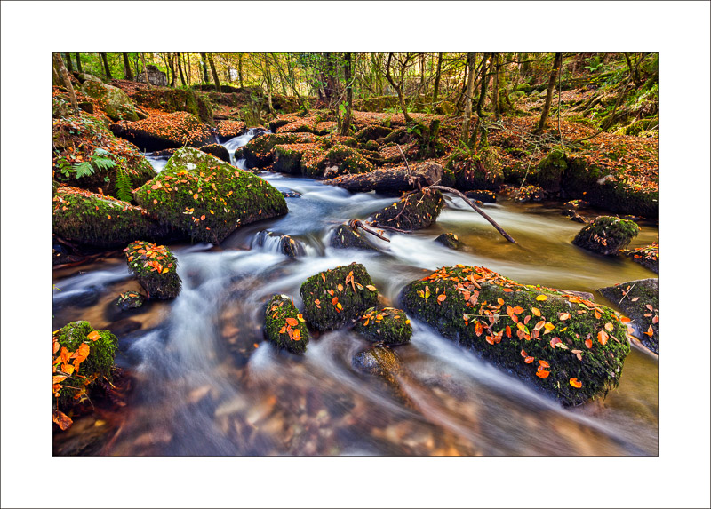 Kennall Vale - Cornish Landscapes