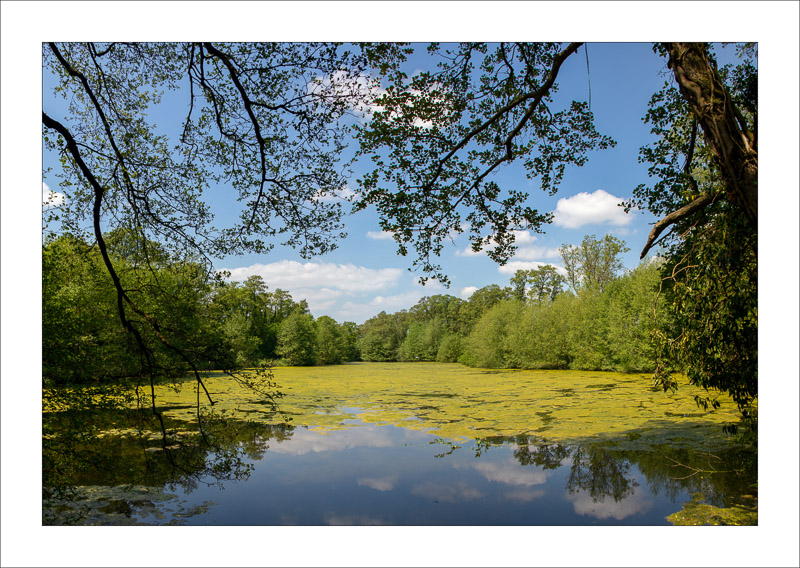  - Southwell Trail in Spring and Summer