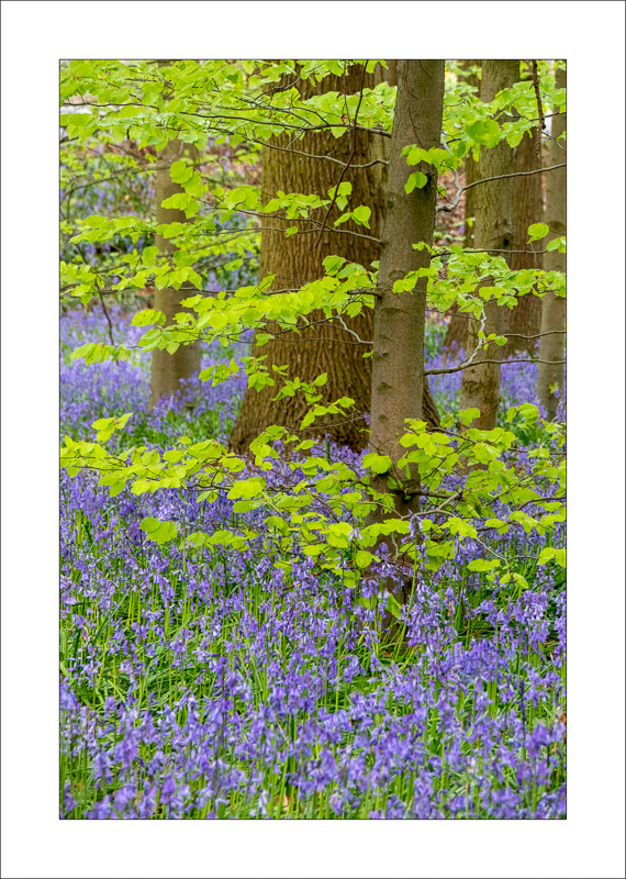  - Clumber Park