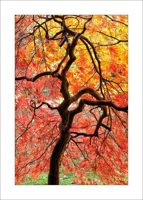  - Westonbirt