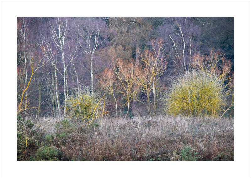  - Clumber Park