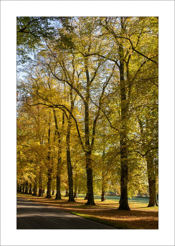 - Clumber Park