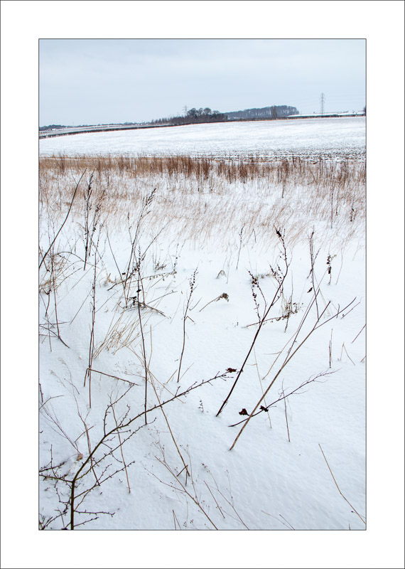  - Southwell Trail in Winter