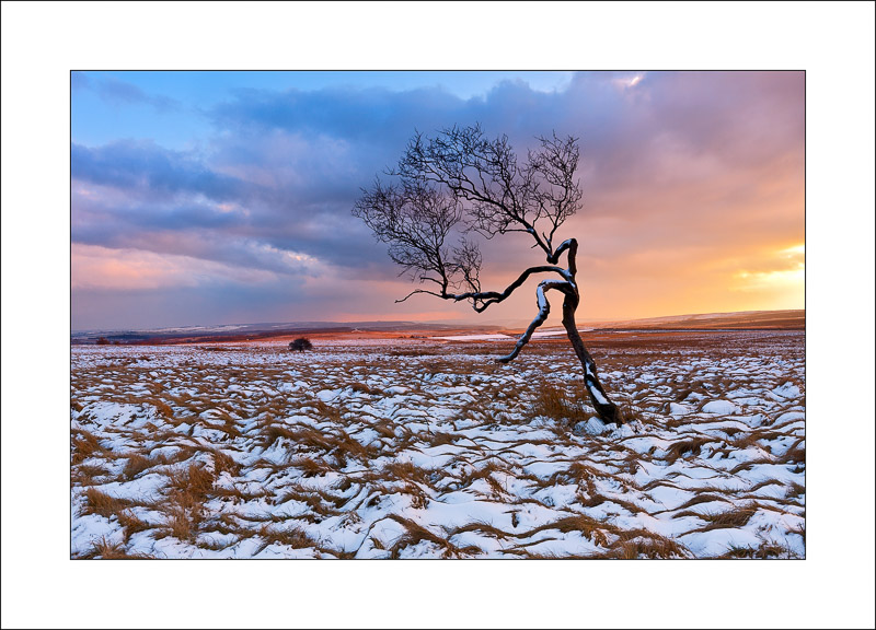 Big Moor - Peak District Landscapes