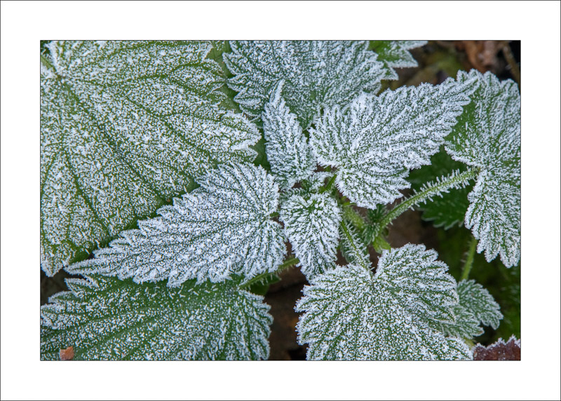  - Southwell Trail in Winter