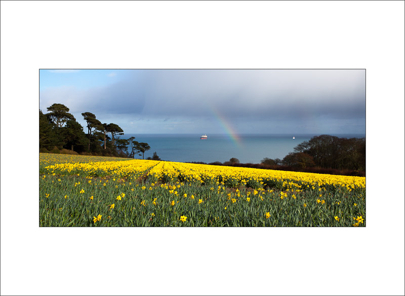 Nansidwell - Cornish Landscapes