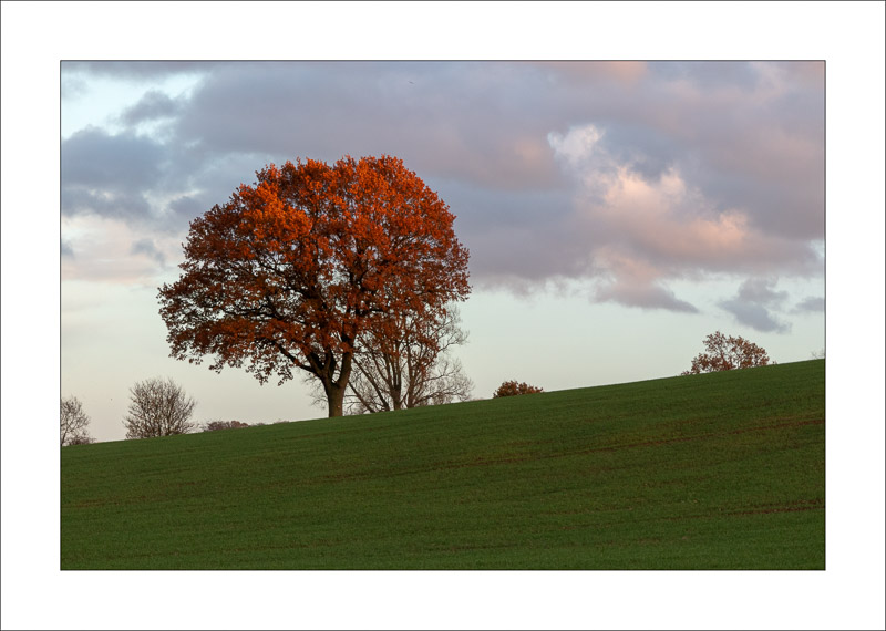  - Farnsfield