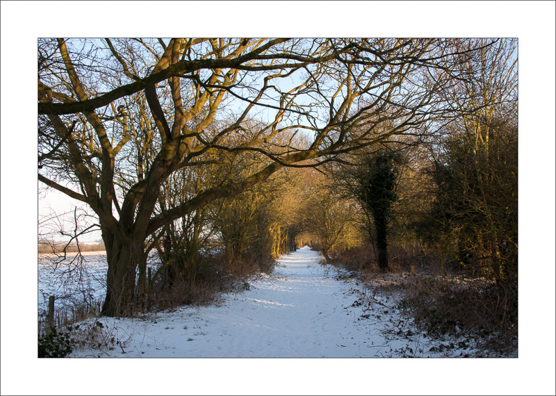  - Southwell Trail in Winter
