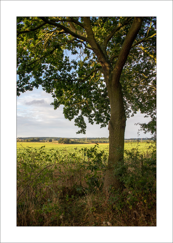  - Southwell Trail in Spring and Summer