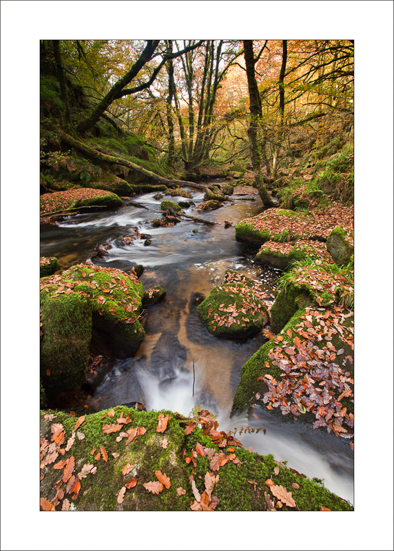 Golitha Falls - Cornish Landscapes