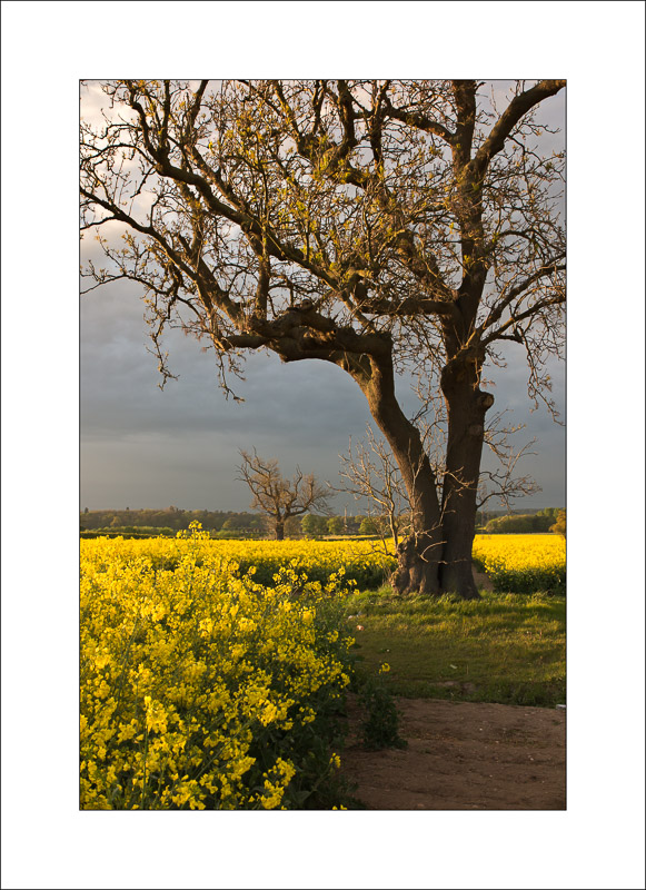  - Southwell Trail in Spring and Summer