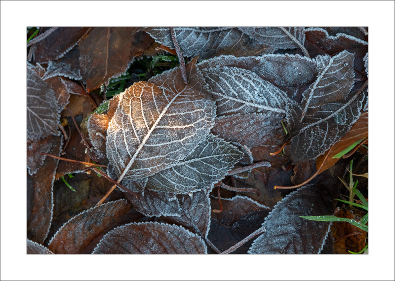  - Southwell Trail in Winter