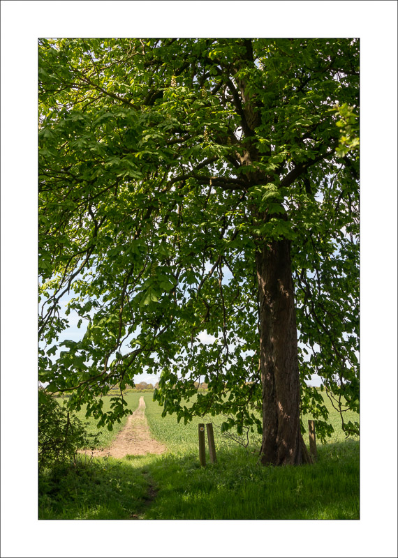  - Southwell Trail in Spring and Summer