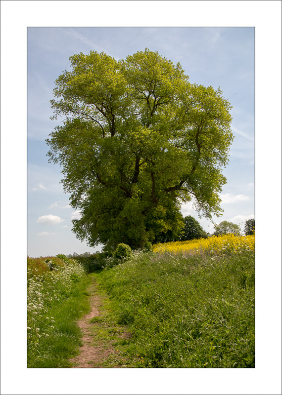  - Farnsfield