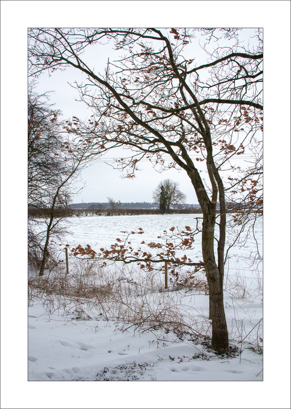  - Southwell Trail in Winter