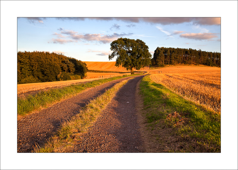  - Robin Hood Hill