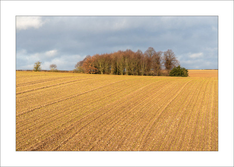  - Southwell Trail in Winter
