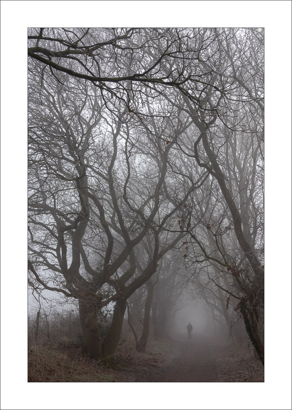  - Southwell Trail in Winter
