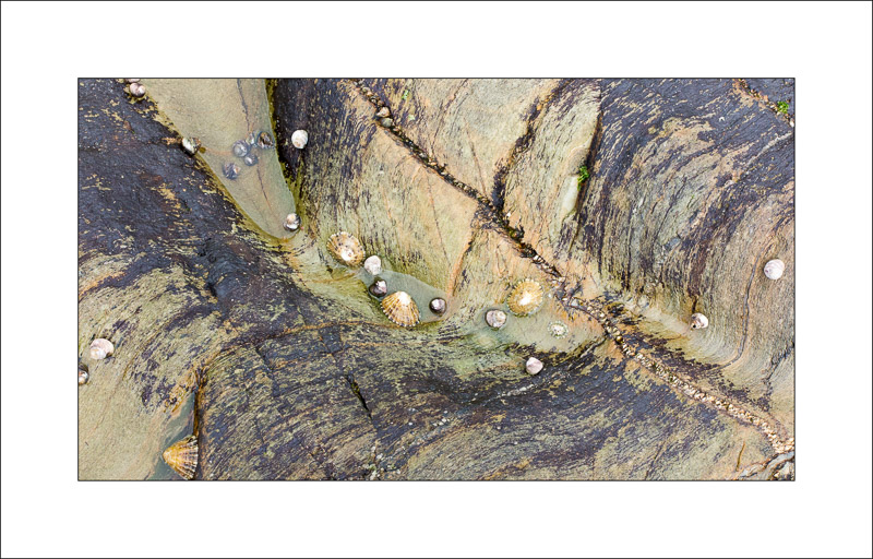  - Rock Studies - Cornwall 2