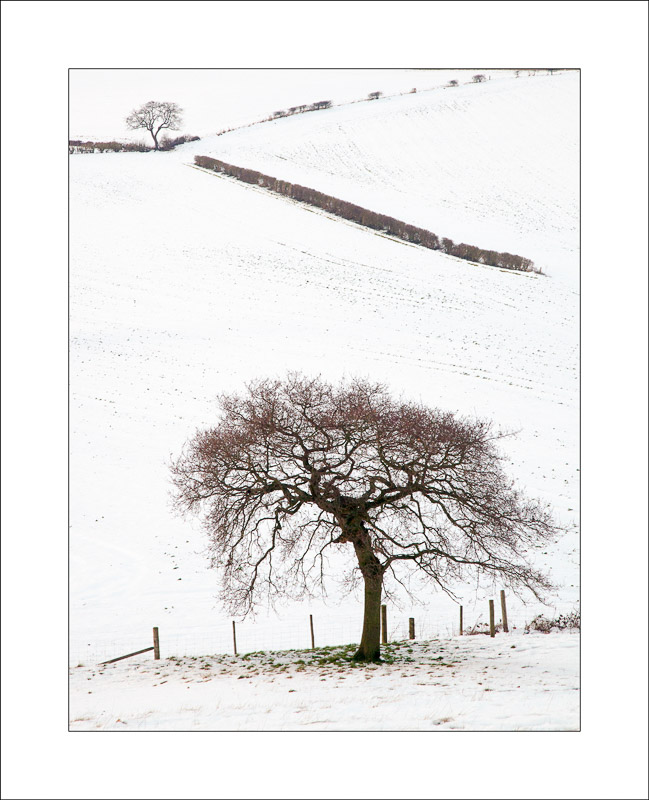  - Robin Hood Hill