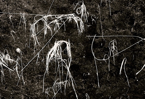 GRASS ON ROCK, Cwm Elan, Powys 2003 - THE WELSH LANDSCAPE - MOSTLY IN CEREDIGION