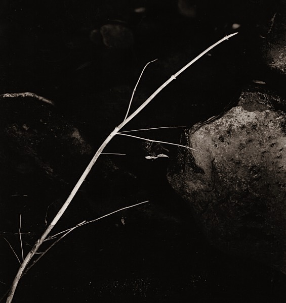 HAFOD, Ceredigion 1991 - THE WELSH LANDSCAPE - MOSTLY IN CEREDIGION
