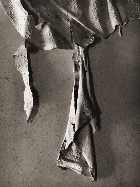 TANYALLT, Llangeitho, Ceredigion 2015 - ABSTRACTIONS
