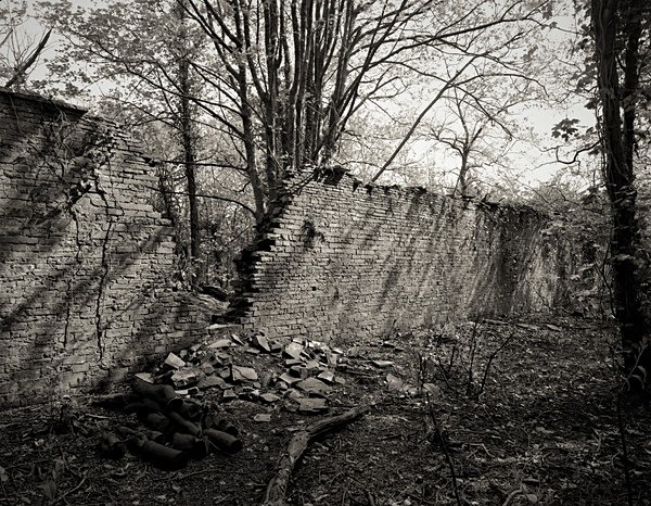 PENLLERGAER MANSION GARDENS, Swansea 2016 - 2018 - THE GLAMORGANS