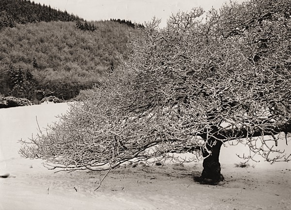 HAFOD, Ceredigion 1994 - THE WELSH LANDSCAPE - MOSTLY IN CEREDIGION