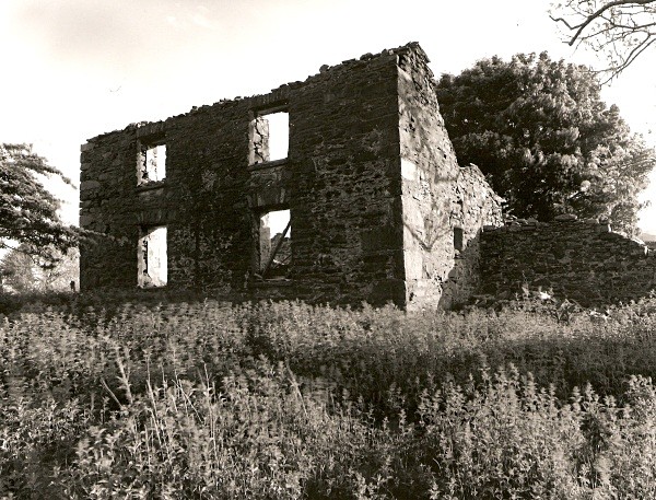 GLAN MARCHNANT, Ceredigion 2010 - CEREDIGION FARMS & COTTAGES
