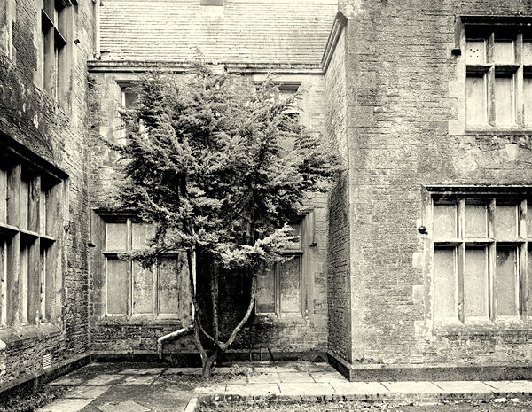 HENDREFIOLAN HOUSE, Swansea 2017 - THE GLAMORGANS